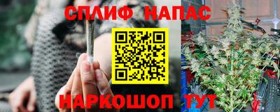 амф Пугачёв