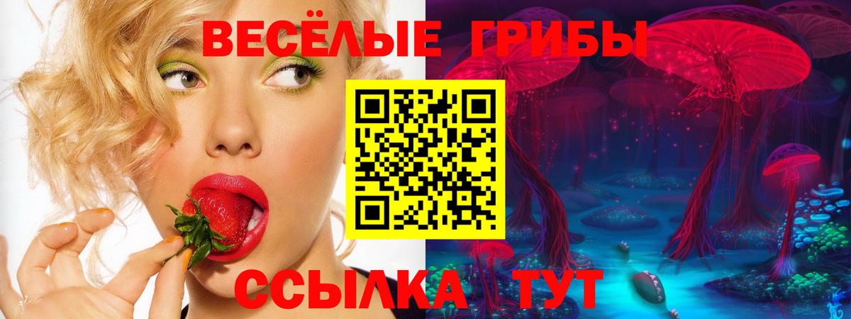 Галлюциногенные грибы Psilocybe  Вход с VPN  Строитель 