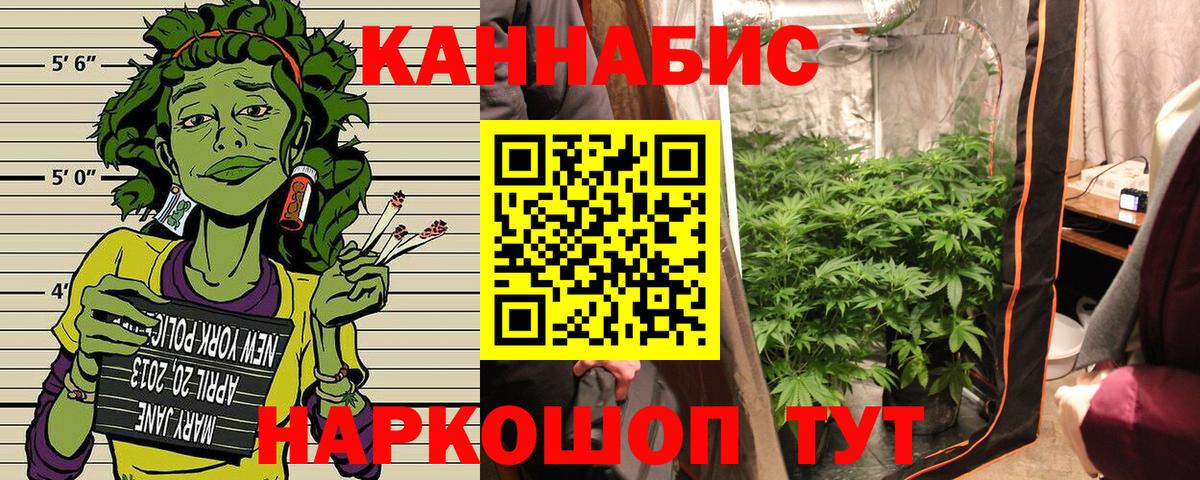 Канабис SATIVA & INDICA  Вход с VPN  Каннабис VHQ  Строитель  МАРИХУАНА марихуана 